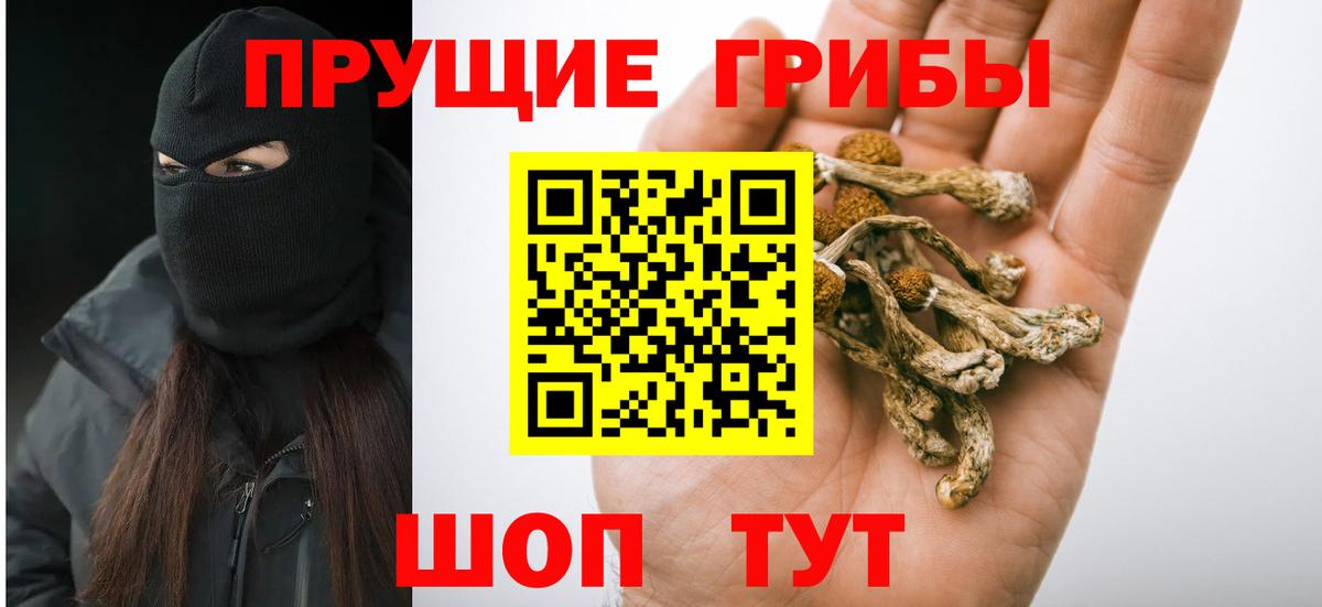 Галлюциногенные грибы Cubensis Феодосия